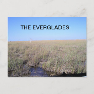 DE UITGESTREKTHEID VAN DE EVERGLADES BRIEFKAART