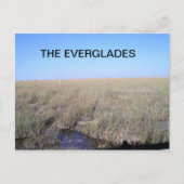 DE UITGESTREKTHEID VAN DE EVERGLADES BRIEFKAART (Voorkant)