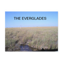 DE UITGESTREKTHEID VAN DE EVERGLADES