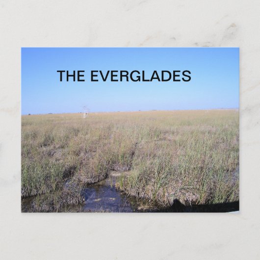 DE UITGESTREKTHEID VAN DE EVERGLADES BRIEFKAART (Voorkant)