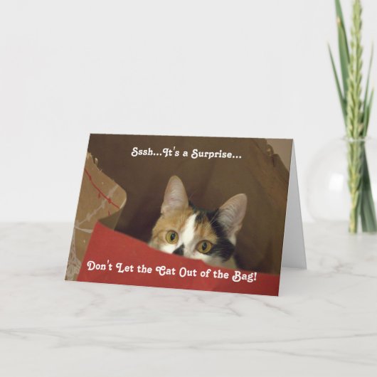 De Uitnodiging die van de Partij van de verrassing (Voorkant)