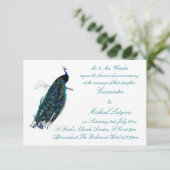 De uitnodiging voor het Collectie van Peacock (Staand voorkant)