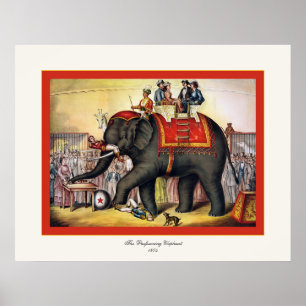 De uitvoerende ellefant ~  Circus Poster