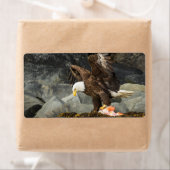 De ultieme Bald Eagle Etiket (Insitu)