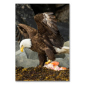 De ultieme Bald Eagle Kaart (Voorkant)