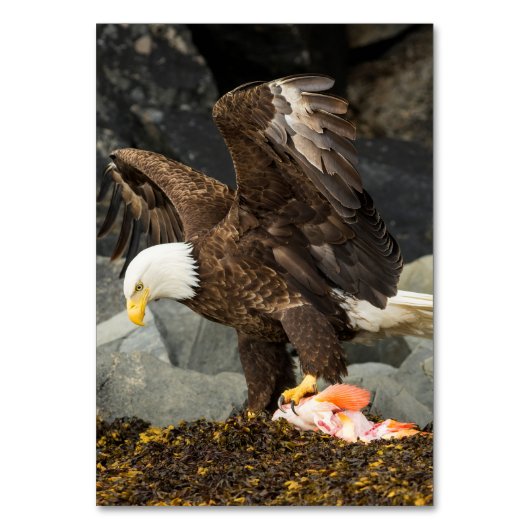 De ultieme Bald Eagle Kaart (Voorkant)