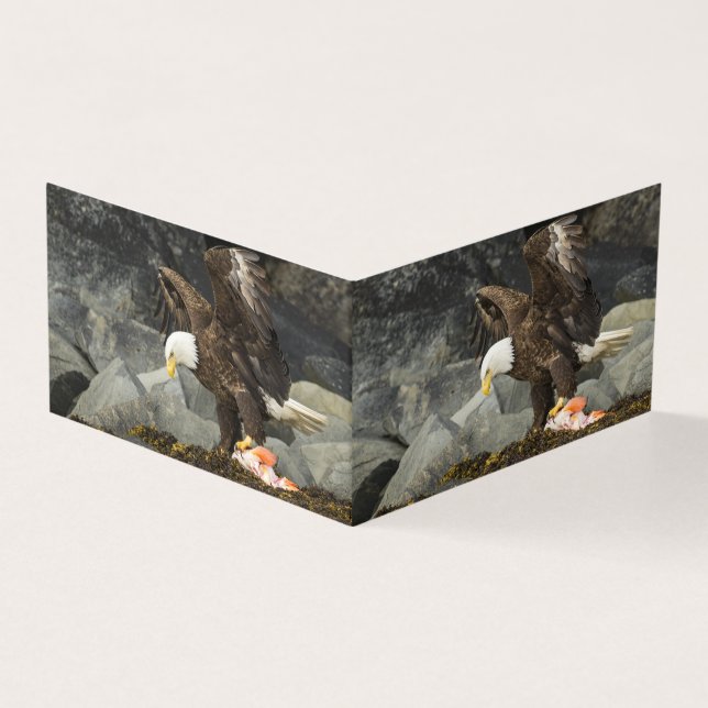 De ultieme Bald Eagle Kaart (Buitenkant)