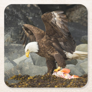 De ultieme Bald Eagle Kartonnen Onderzetters