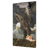 De ultieme Bald Eagle Klembord (Links)