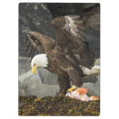 De ultieme Bald Eagle Klembord (Achterkant)