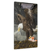 De ultieme Bald Eagle Klembord (Rechts)