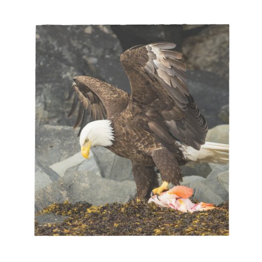 De ultieme Bald Eagle Notitieblok (Voorkant)