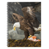De ultieme Bald Eagle Notitieboek (Voorkant)