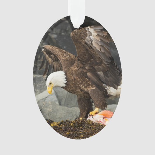De ultieme Bald Eagle Ornament (voorkant)