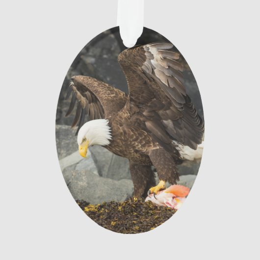 De ultieme Bald Eagle Ornament (achterkant)