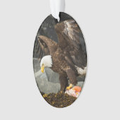 De ultieme Bald Eagle Ornament (voorkant)