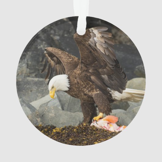 De ultieme Bald Eagle Ornament (achterkant)