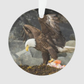 De ultieme Bald Eagle Ornament (voorkant)