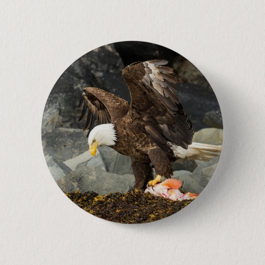 De ultieme Bald Eagle Ronde Button 5,7 Cm (Voorkant)