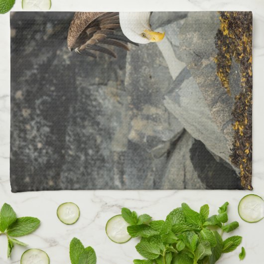 De ultieme Bald Eagle Theedoek (Gevouwen)