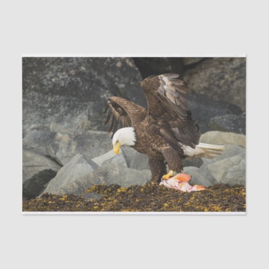 De ultieme Bald Eagle Tissuepapier (Voorkant)