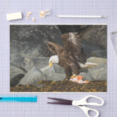 De ultieme Bald Eagle Tissuepapier (Craft)