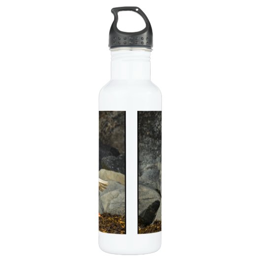 De ultieme Bald Eagle Waterfles (Achterkant)