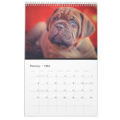 De ultieme Dog-agenda Kalender (Feb 2026)