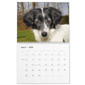 De ultieme Dog-agenda Kalender (Mar 2026)