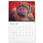 De ultieme Dog-agenda Kalender (Feb 2027)