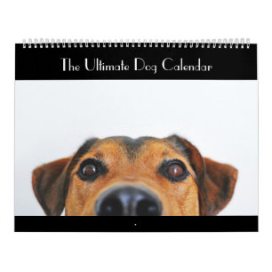De ultieme Dog-agenda Kalender
