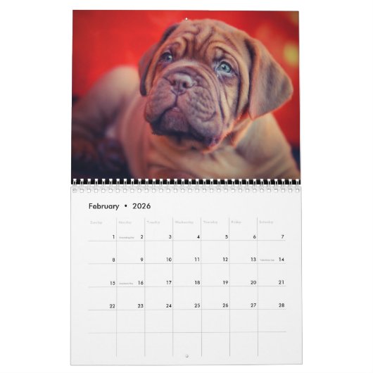 De ultieme Dog-agenda Kalender (Feb 2026)
