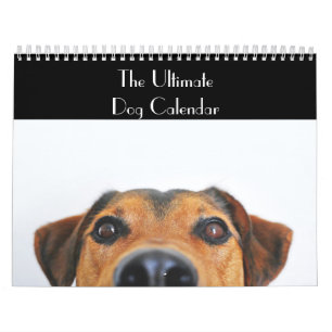 De ultieme Dog-agenda Kalender