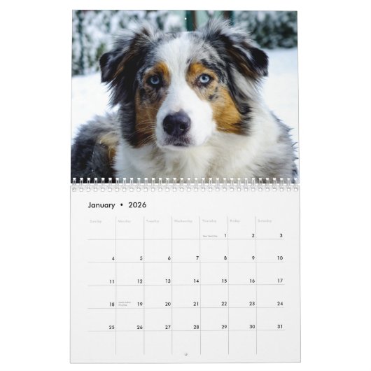 De ultieme Dog-agenda Kalender (Jan 2026)