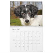 De ultieme Dog-agenda Kalender (Mar 2027)