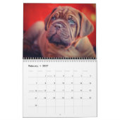 De ultieme Dog-agenda Kalender (Feb 2027)