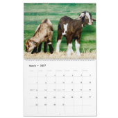 De ultieme geitalender kalender (Mar 2027)