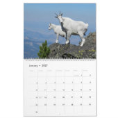 De ultieme geitalender kalender (Jan 2027)