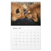 De ultieme geitalender kalender (Feb 2027)