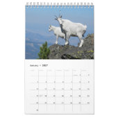 De ultieme geitalender kalender (Jan 2027)