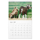 De ultieme geitalender kalender (Mar 2027)