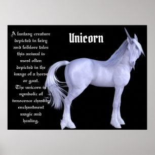 De Unicorn Poster