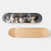 De Untouchables - Pitbull Champion-serie Skateboard (Horizontaal)