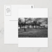 De V.S., Brug op Port Arthur, TX. Zwart-wit. Briefkaart (Voorkant / Achterkant)