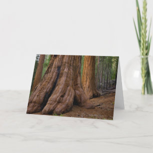 De V.S., Californië, de Reuzeboom van de Sequoia Kaart