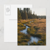 De V.S., Oregon, Paulina Creek Briefkaart (Voorkant / Achterkant)