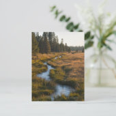 De V.S., Oregon, Paulina Creek Briefkaart (Staand voorkant)