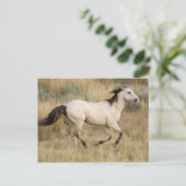 De V.S., Oregon, Seneca, Boerderij Ponderosa. Briefkaart (Staand voorkant)