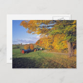 De V.S., Vermont, Boerderij Jenne. De herfst komt Briefkaart (Voorkant / Achterkant)