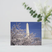 De V.S., Washington DC. Het Festival van de Briefkaart (Staand voorkant)